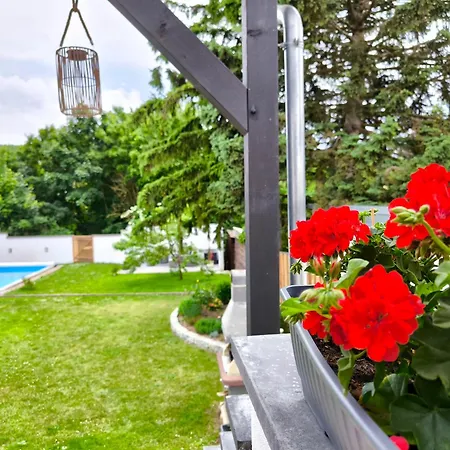 Dom wakacyjny Isabel Mit Pool Und Garten Naehe Quedlinburg