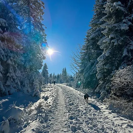 Isabel Mit Pool Und Garten Naehe Quedlinburg Gernrode (Saxony-Anhalt)