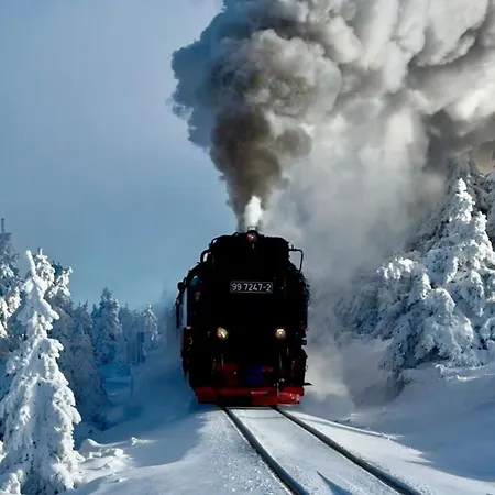 Isabel Mit Pool Und Garten Naehe Quedlinburg