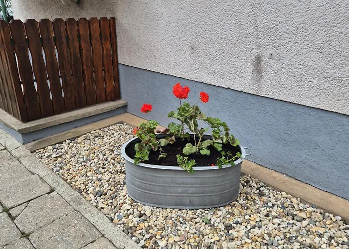 펜션 Isabel Gernrode (Saxony-Anhalt)