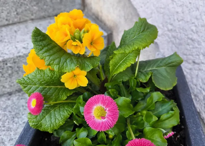 펜션 Isabel Gernrode (Saxony-Anhalt)